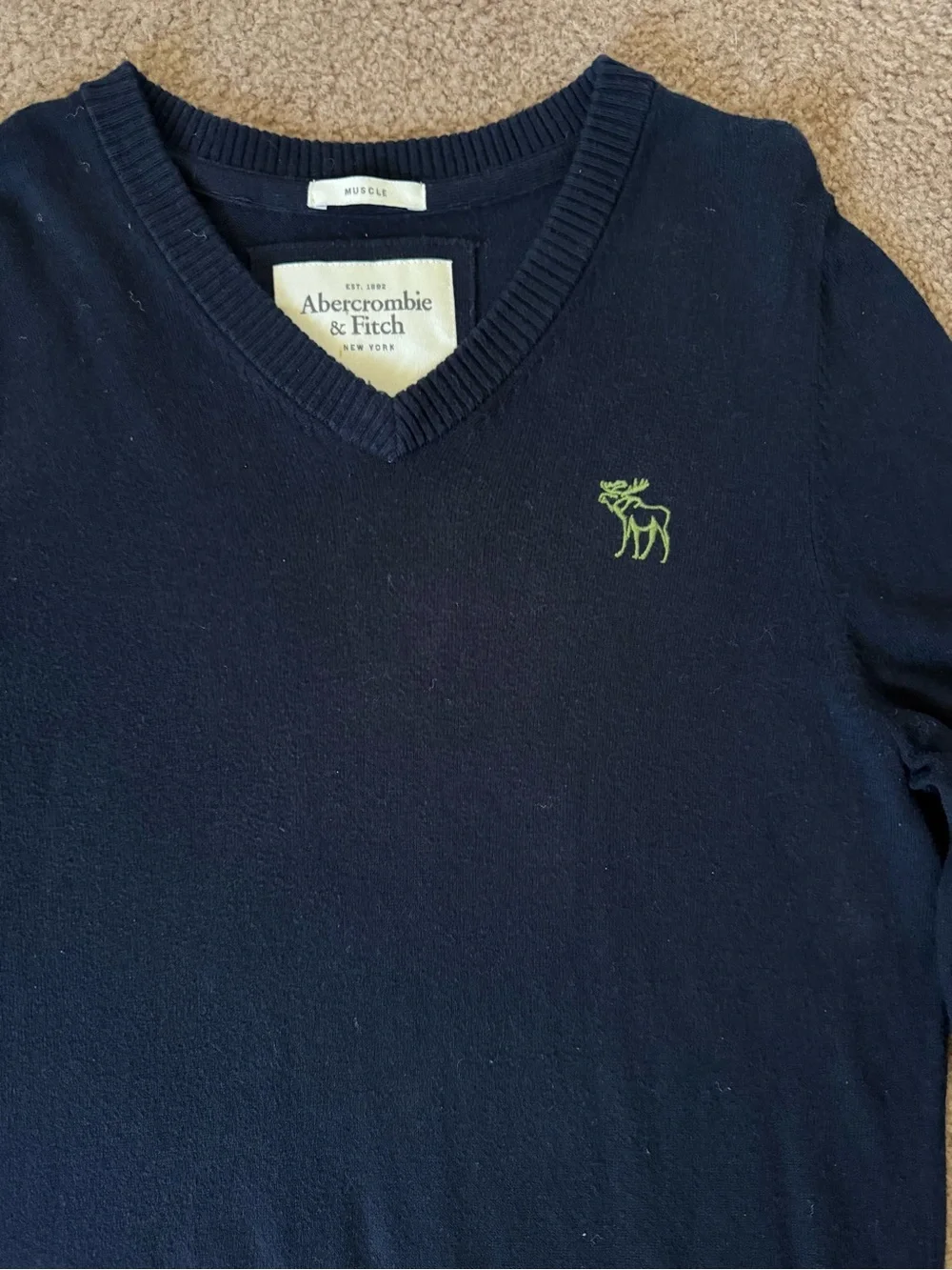 Abercrombie & Fitch Navy V-Neck Sweater with Green Logo
